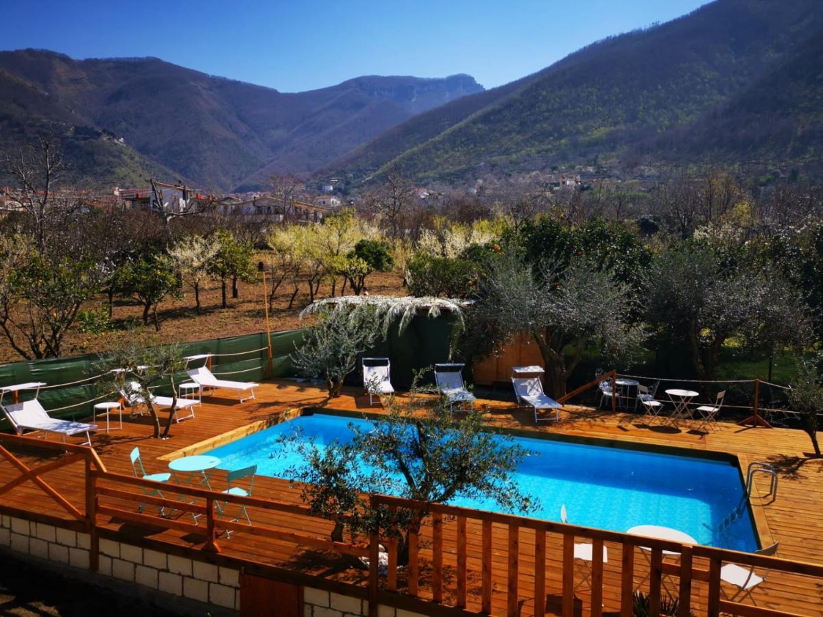 B & B Evergreen Corbara  Екстериор снимка