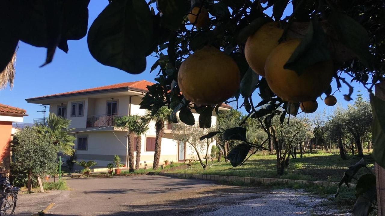 B & B Evergreen Corbara  Екстериор снимка
