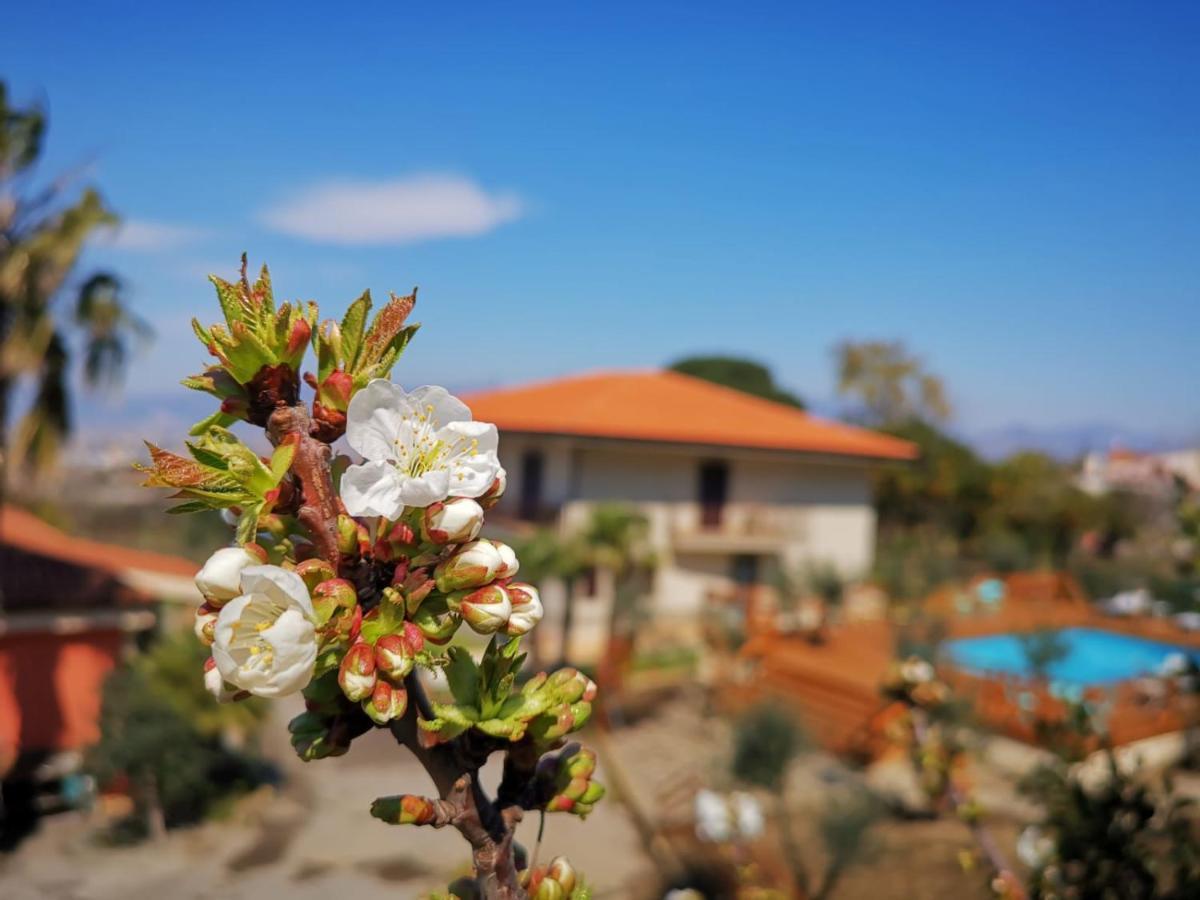 B & B Evergreen Corbara  Екстериор снимка