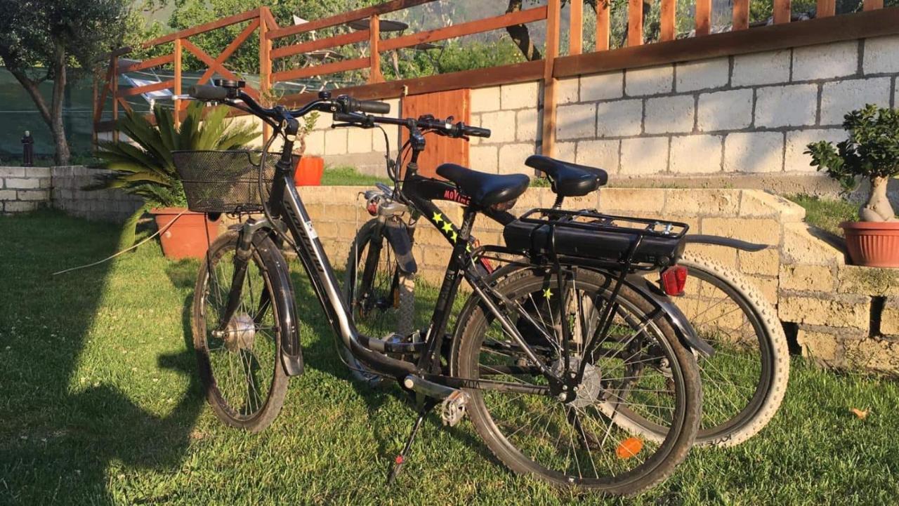 B & B Evergreen Corbara  Екстериор снимка
